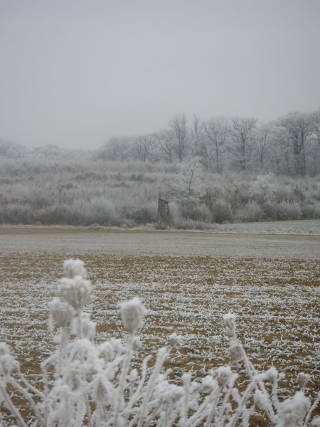 Hiver Lorrain